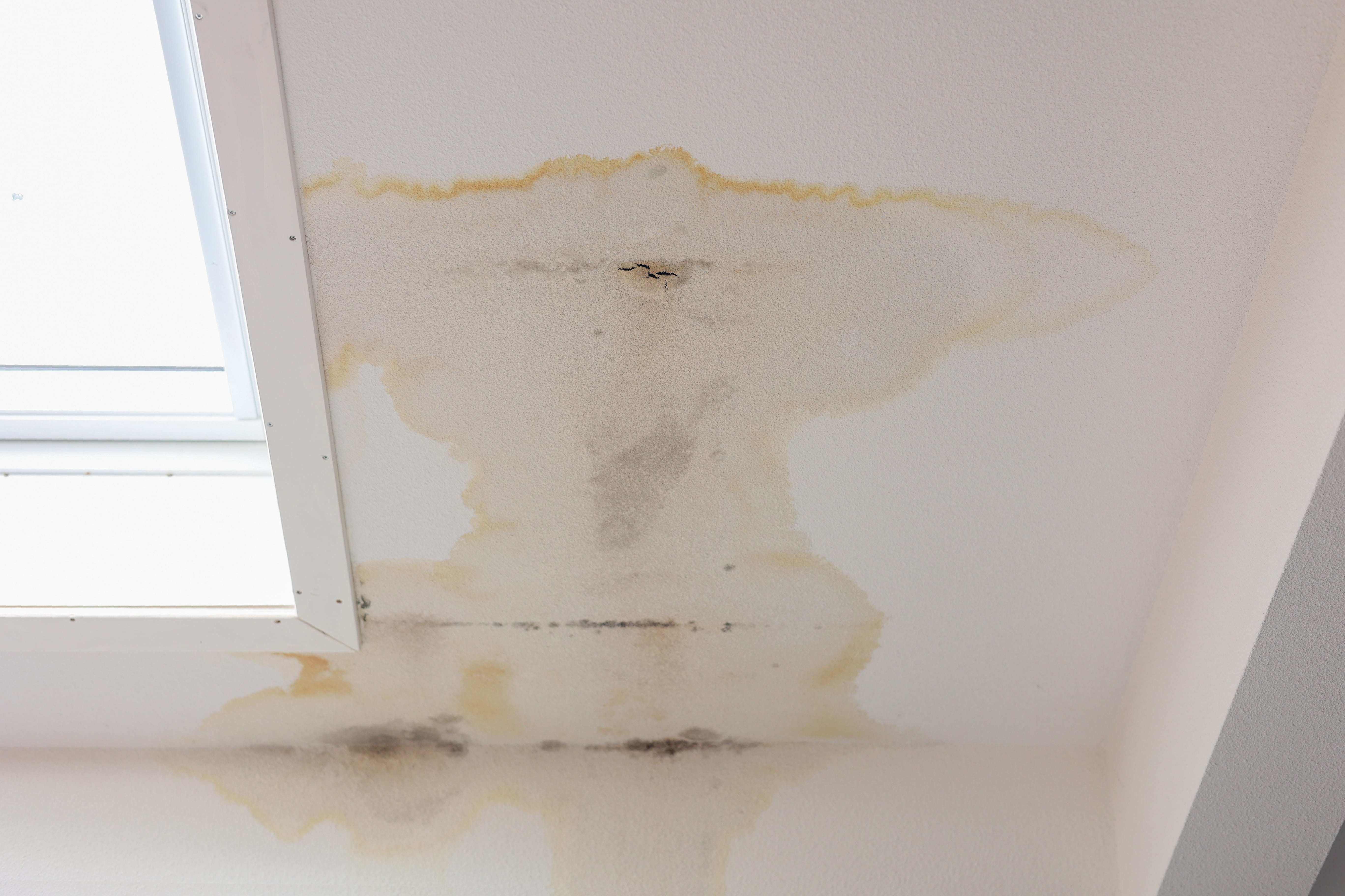 hard,black,stains,on,white,wall,and,black,mold,,all