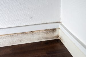 gray,mold,on,the,ceiling,and,walls,,dampness,in,the
