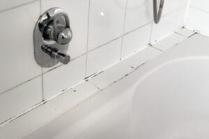 mould,in,a,bathroom,an,the,tiles