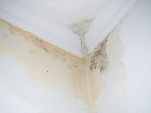 leak,on,white,ceiling.,mold,on,the,ceiling.the,sewer,pipes